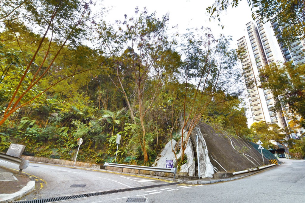 今季政府僅推出1幅荃灣寶豐路住宅地招標，料提供約490伙。