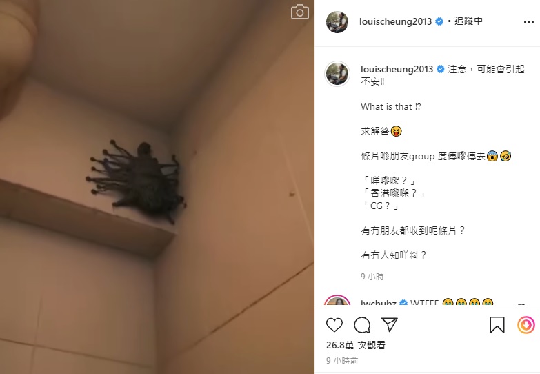阿聰要大家慎入,但其實是電腦特技,fake 人!