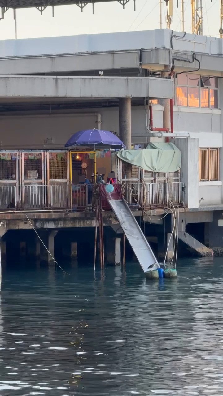 Threads截圖(資料來源:tumtumtummy_tommy@Threads) Threads截圖(資料來源:tumtumtummy_tommy@Threads)