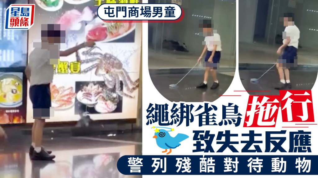 屯门男童绳绑雀鸟「吊吊揈」 放地面拖行 警列残酷对待动物跟进