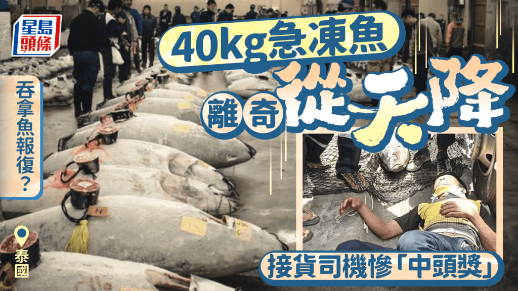 40KG急凍吞拿魚離奇從天而降 司機碼頭接貨「中頭獎」幸保性命