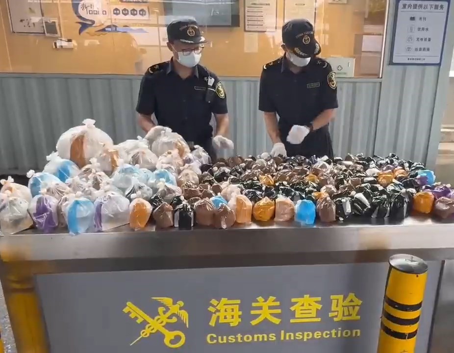 關員在車內發現有188條金魚。海關發布
