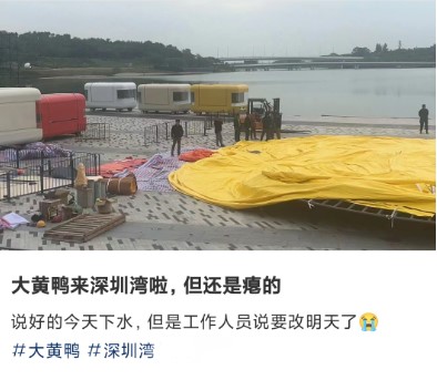「大黄鸭」已经抵达深圳，进行展示前的准备工作。深圳发布