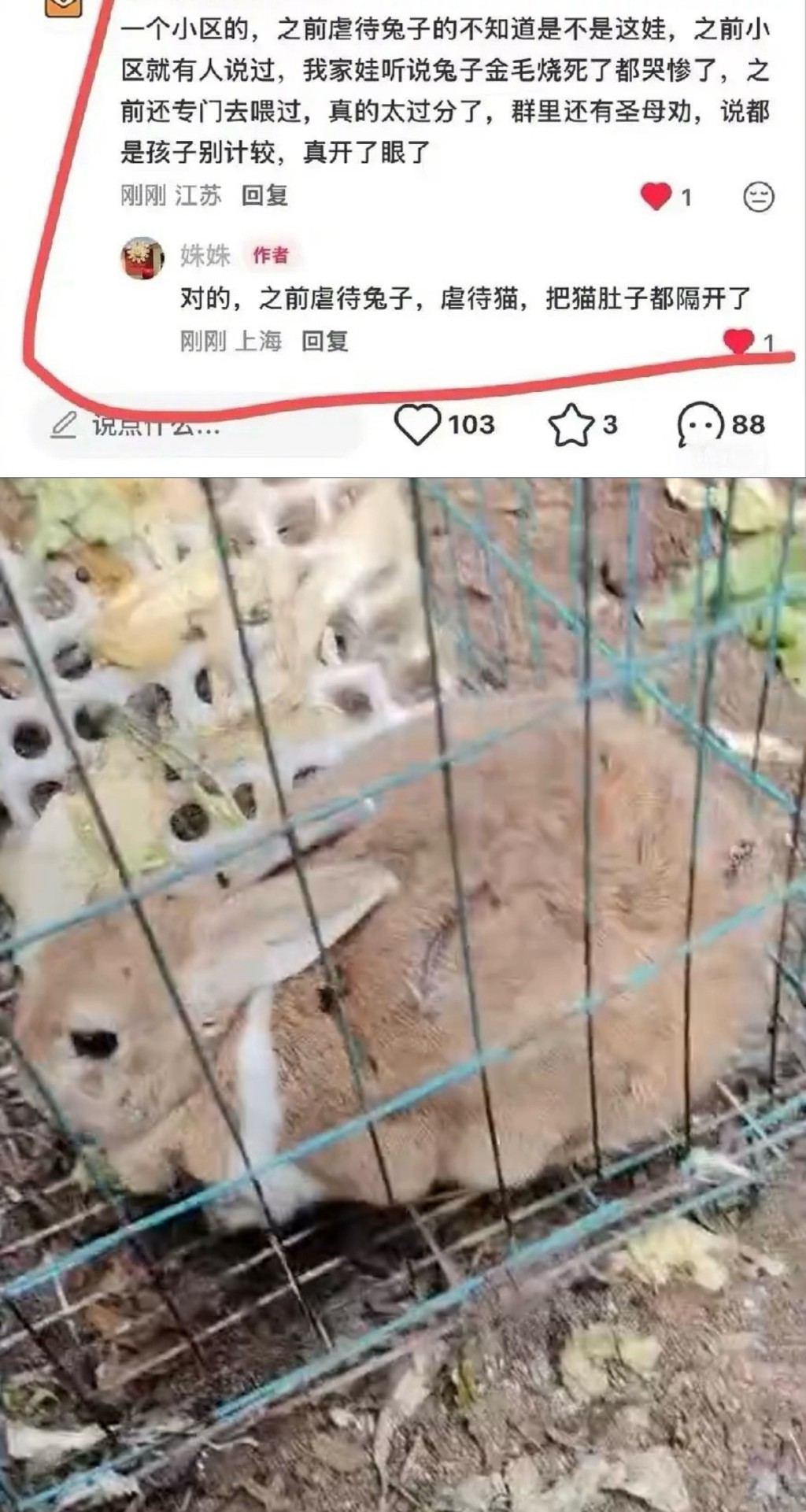 涉事屋苑曾發生其他虐待動物事件，懷疑也是燒殺小旺的男童所為。微博