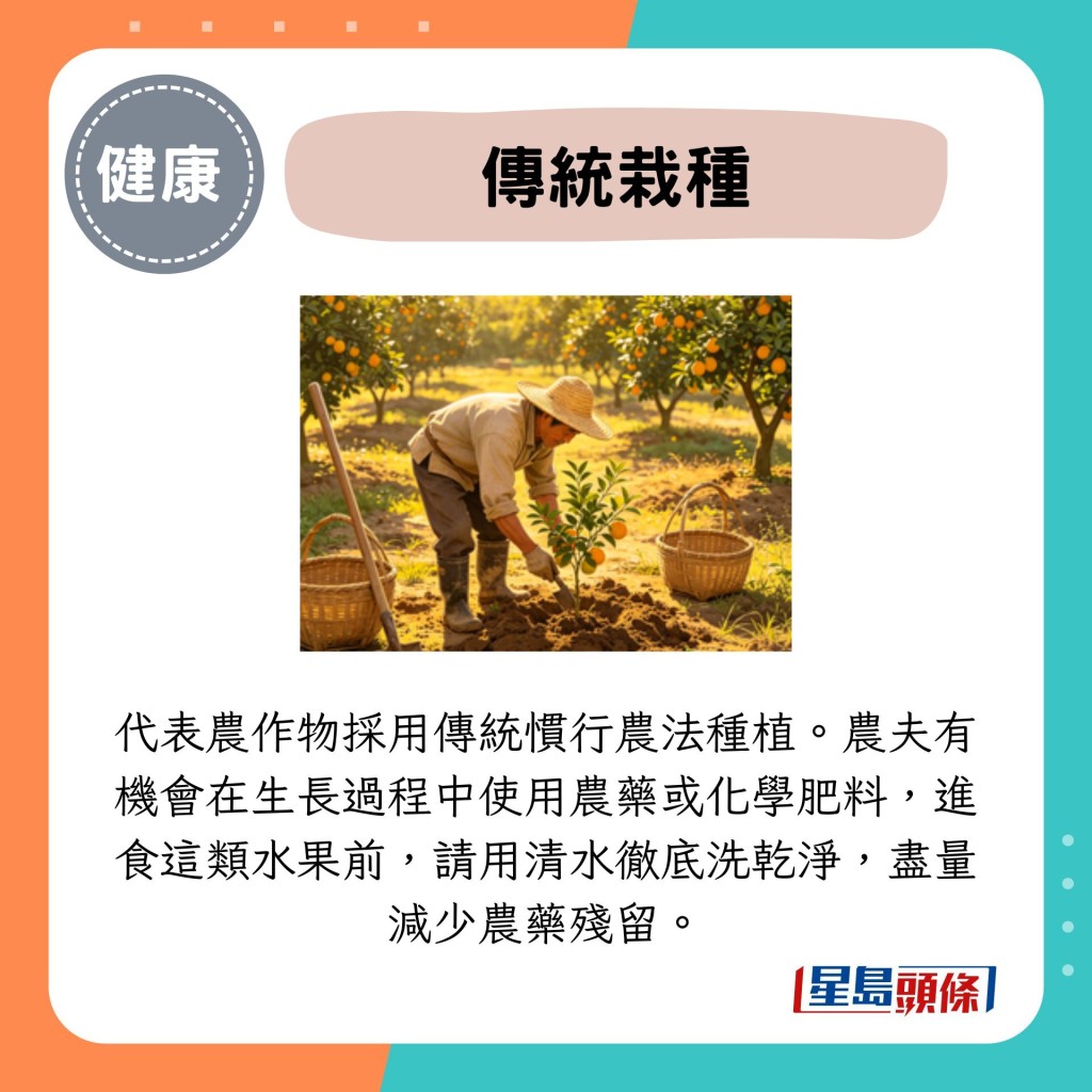 传统栽种