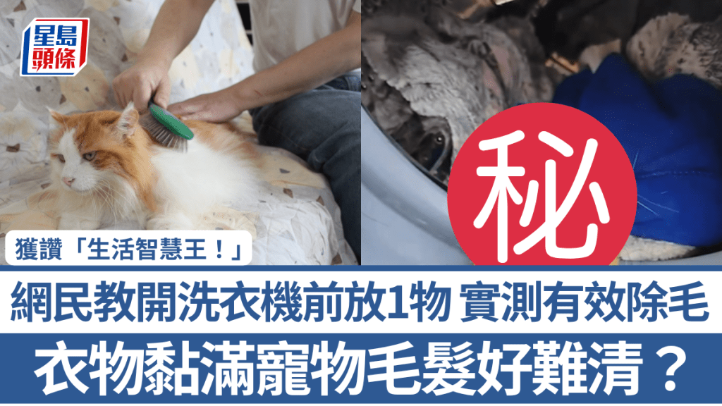 衣物黏滿寵物毛髮好難清？網民教開洗衣機前放1物 實測有效除毛 獲讚「生活智慧王！」