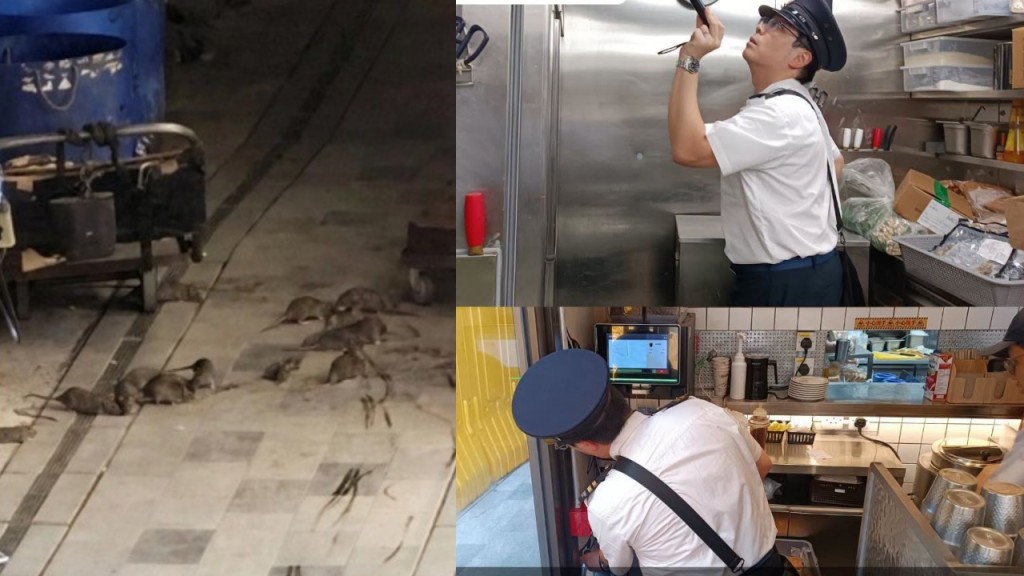 红磡区及葵芳站鼠患 食环伙持份者加强治理 必嘉坊两个月捕获77鼠