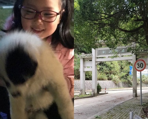 子欣的遗体日前被火化 ，安葬于湖山公墓。网图