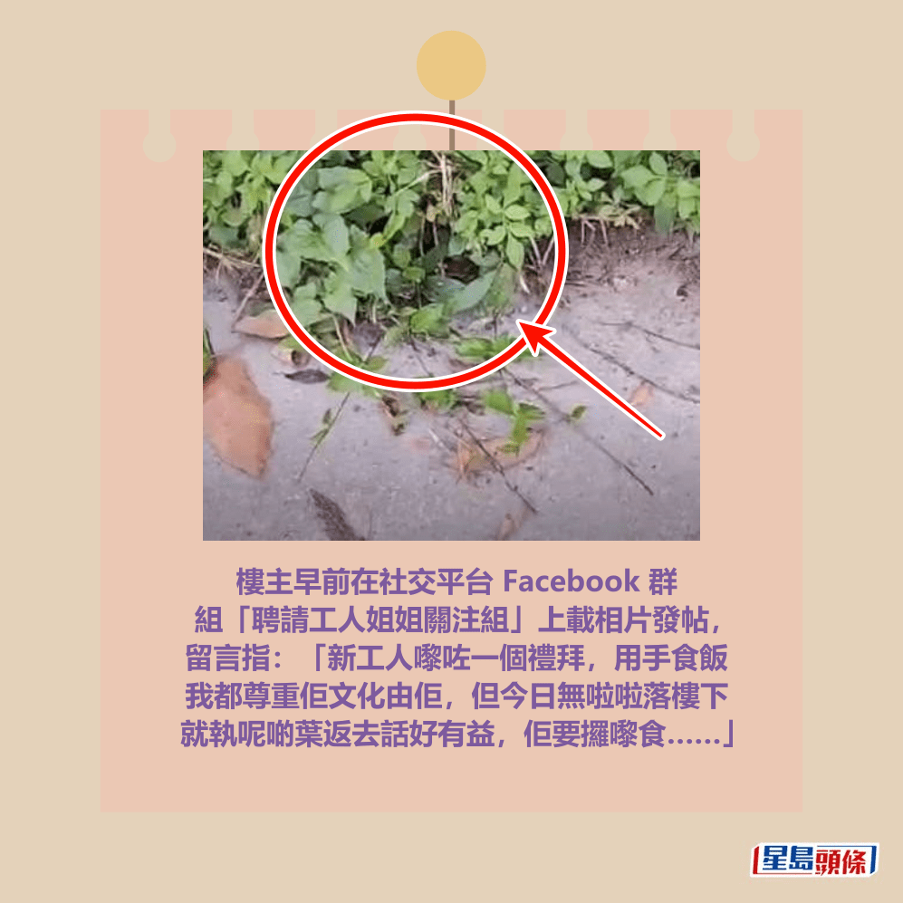 facebook截圖（資料來源：AuthenticCamel3991＠facebook聘請工人姐姐關注組）
