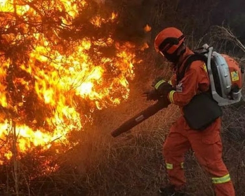 內地森林消防員（非當事人）。 網圖