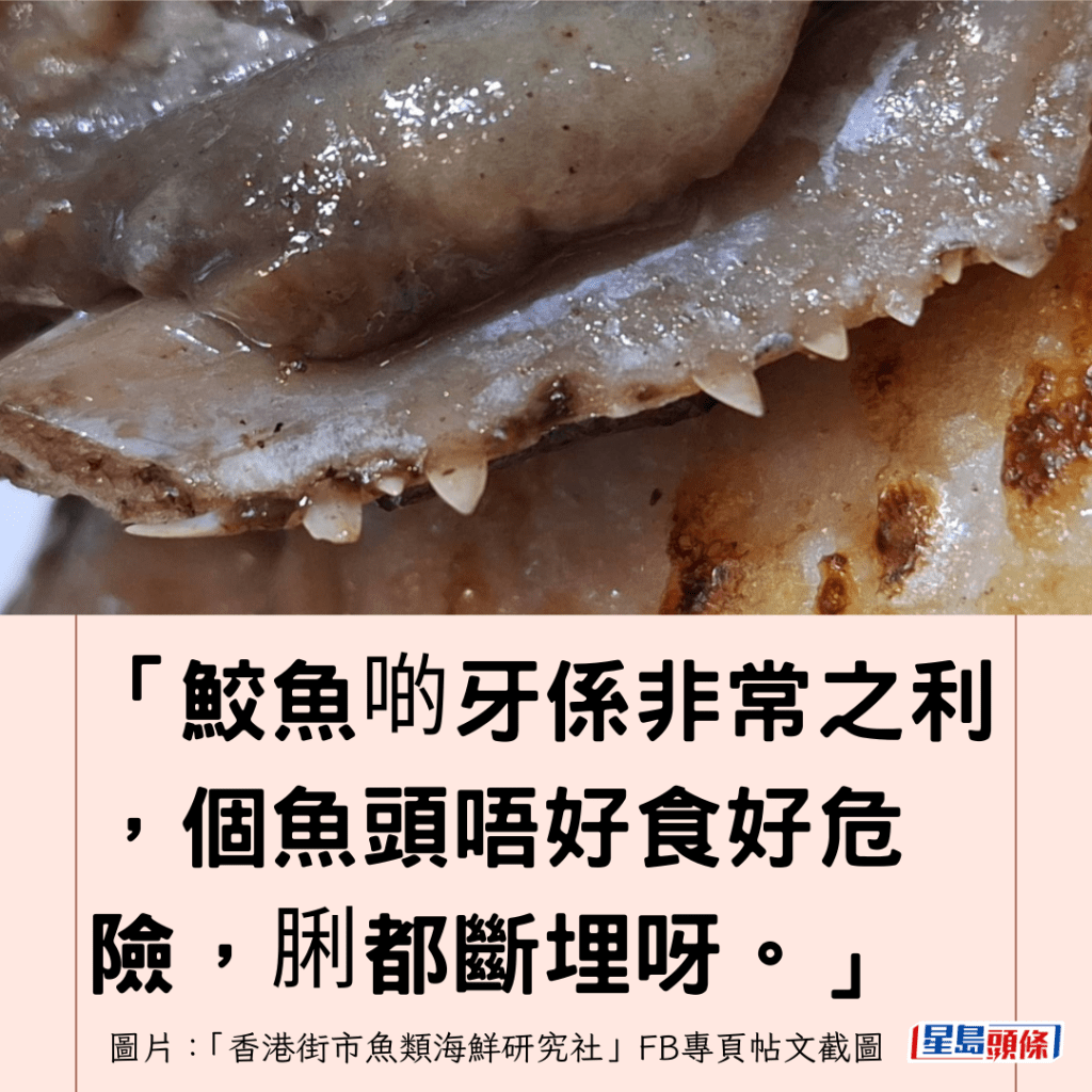  「鮫魚啲牙係非常之利 ，個魚頭唔好食好危險，脷都斷埋呀。」