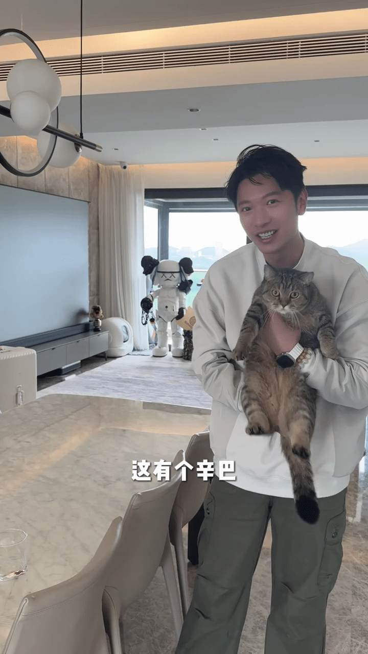 高钧贤的爱猫。