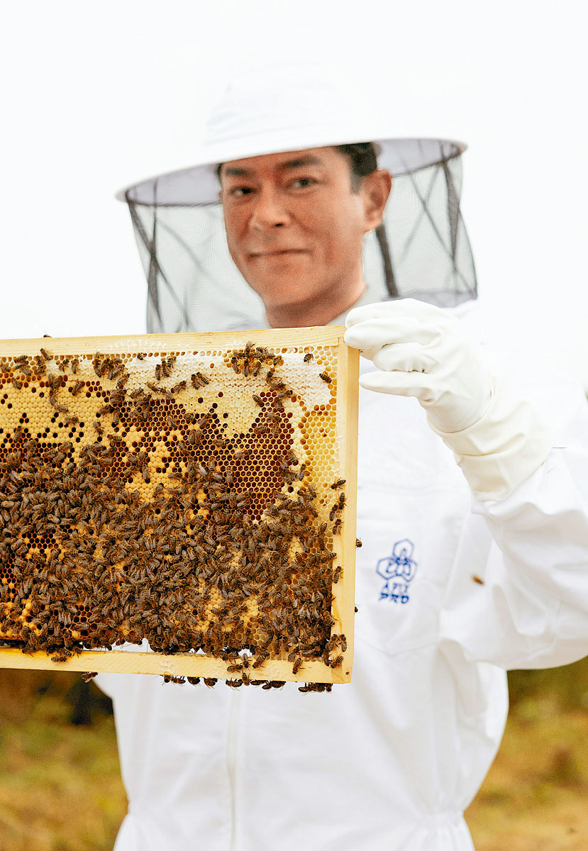 古仔小心翼翼拿起充滿黑蜂的蜂巢合照。