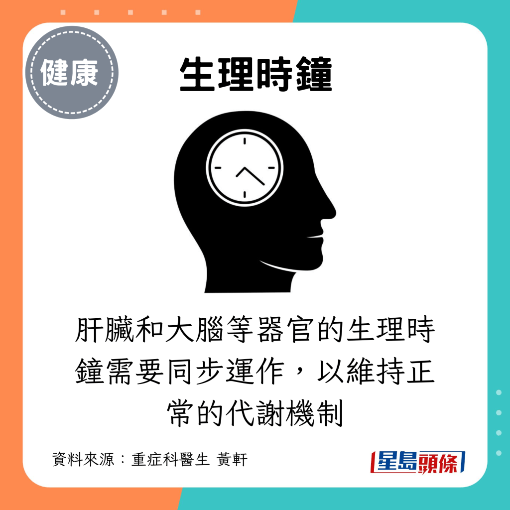 肝脏和大脑等器官的生理时钟需要同步运作，以维持正常的代谢机制