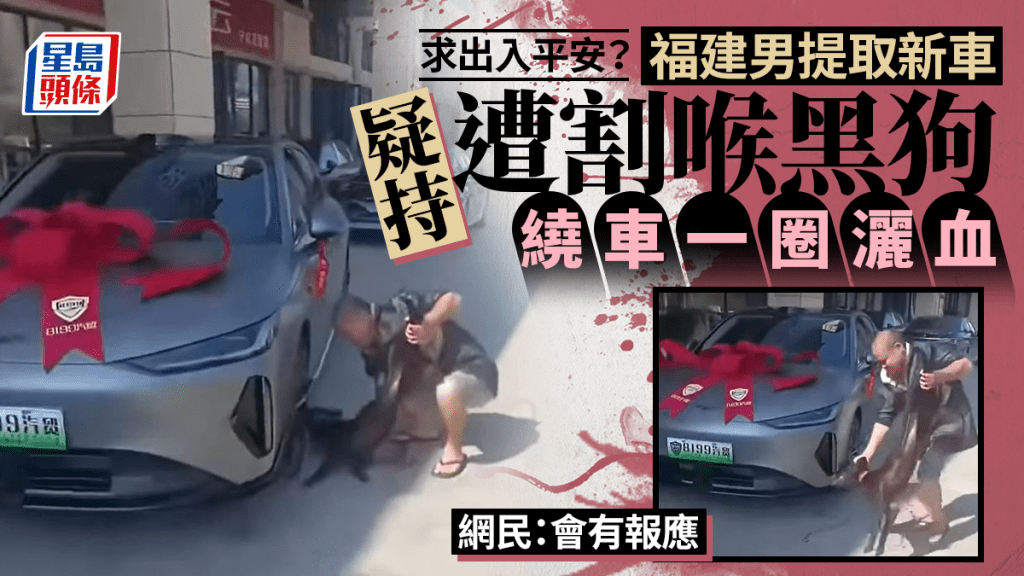 血祭新車︱網傳男子灑黑狗血欲保平安？  網民怒斥：會有報應