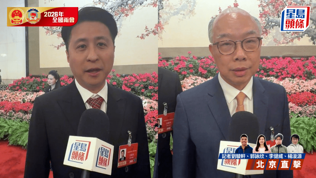 兩會2026｜人大表決通過「十五五」規劃綱要決議 多名港區人大代表稱對港未來充滿信心