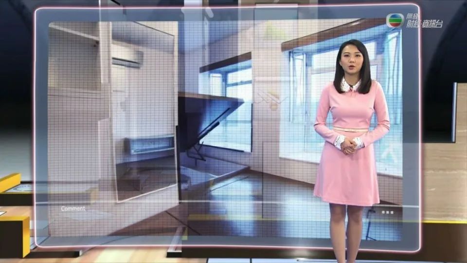 鞠頴怡于2015年便开始在now新闻台做主播，2017年过档TVB后主力任财经节目主持。