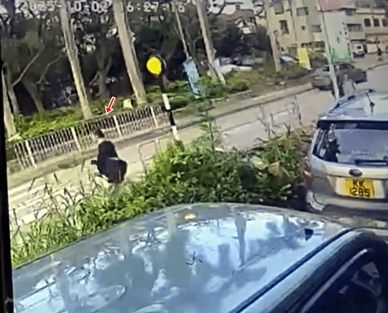 蘇女橫過斑馬線。fb：車cam L（香港群組）