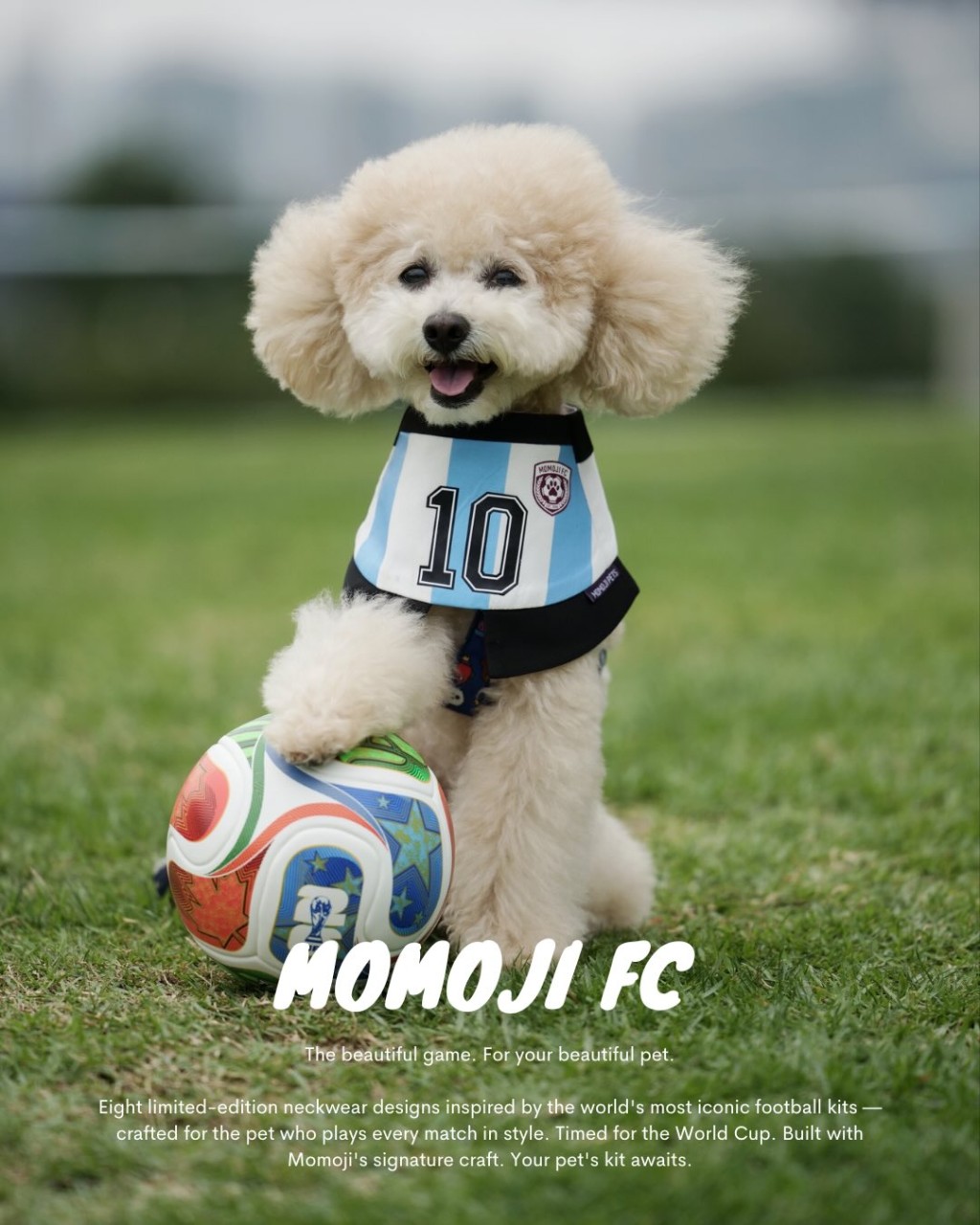MOMOJI推出8款世界頂級足球,狗狗換上人氣足球戰衣後,瞬間化身成為超型球星。 MOMOJI推出8款世界頂級足球,狗狗換上人氣足球戰衣後,瞬間化身成為超型球星。
