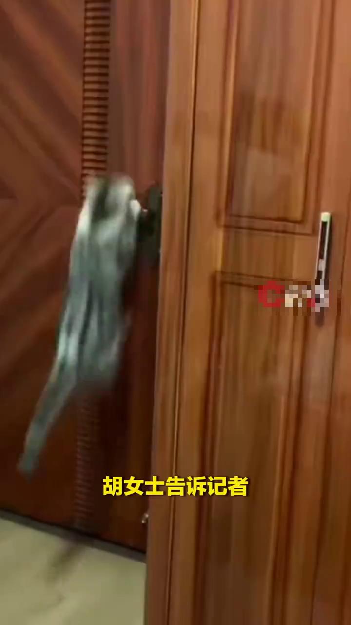 戶主胡女士表示,她養的貓咪平時在家已懂得自行開門。 戶主胡女士表示,她養的貓咪平時在家已懂得自行開門。