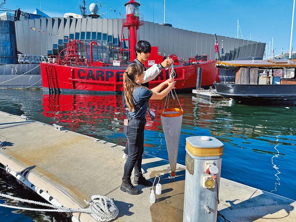 浸大跨學科學生探索可持續海洋保育方案