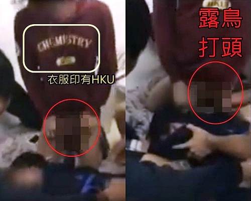 港大生露鳥打同學頭。