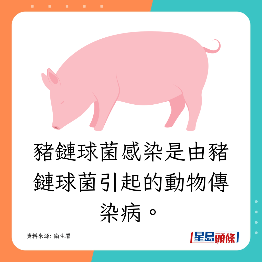 豬鏈球菌感染是由豬鏈球菌引起的動物傳染病