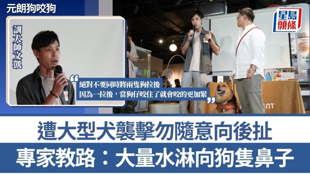 元朗狗咬狗｜專家指外出務必牽好狗繩 籲用大量水淋施襲犬隻鼻子