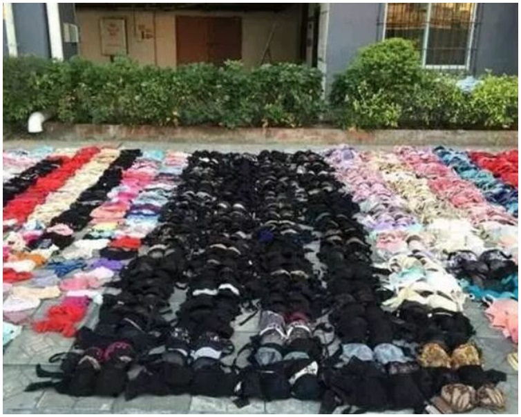 经清点,该男子偷来的内衣多达2000余件。网图