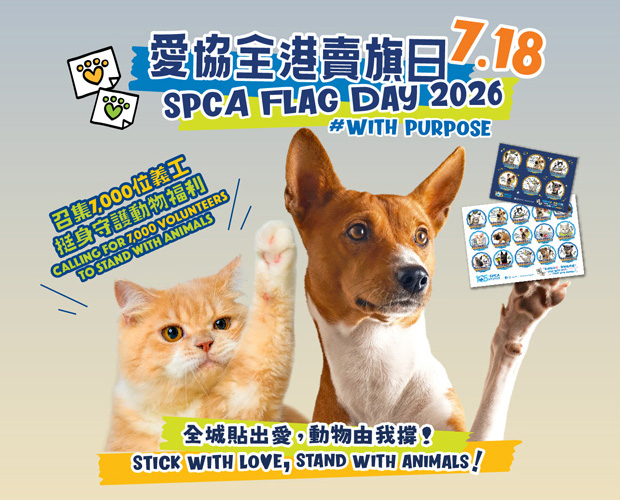 愛協原定周六(7月18日)賣旗日已取消。 愛協原定周六(7月18日)賣旗日已取消。