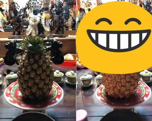 網民家人3天後再到關廟，發現菠蘿長大了。