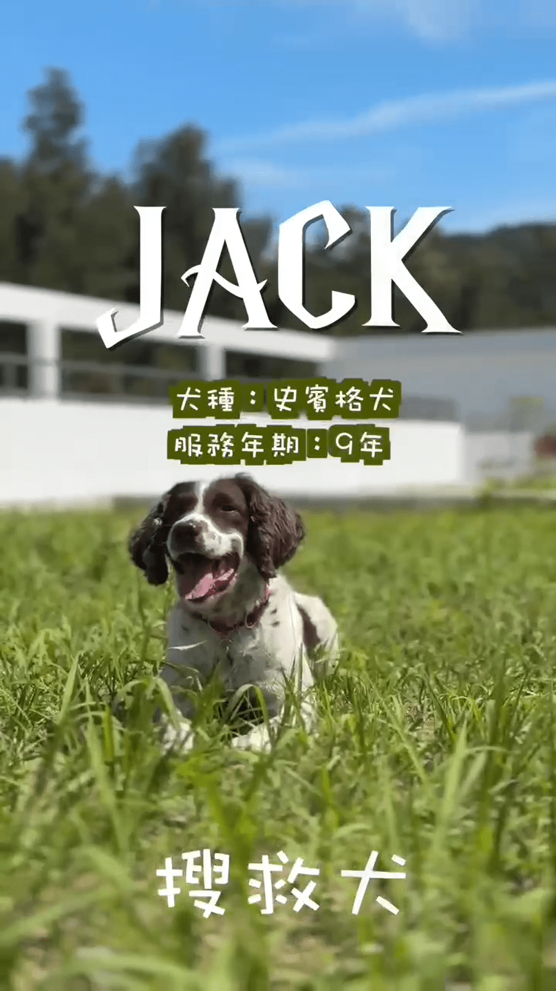 消防處搜救犬Jack。