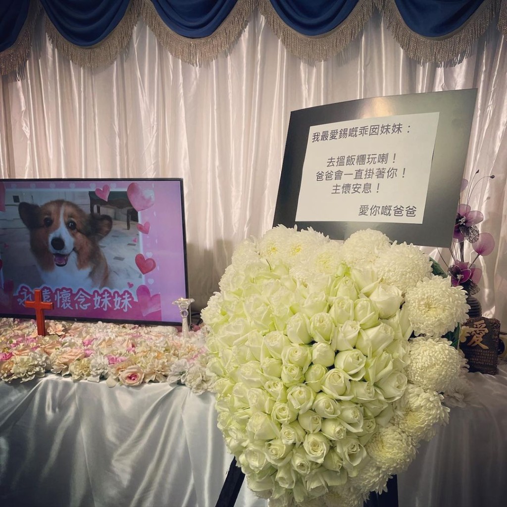 軒仔向妹妹送上花牌,署名是愛你的爸爸。 軒仔向妹妹送上花牌,署名是愛你的爸爸。