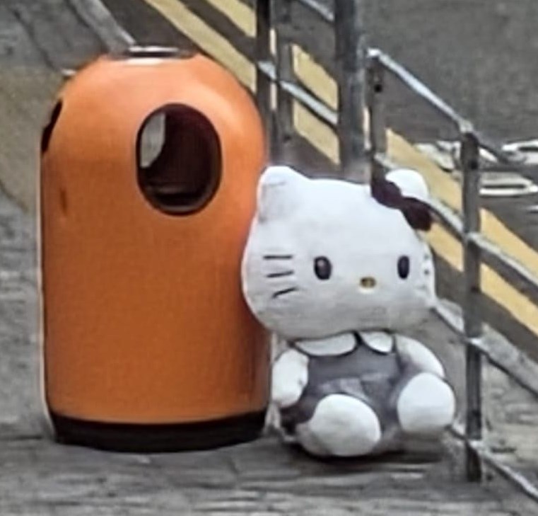 facebook截圖（資料來源：Carman Lam＠facebook將軍澳主場）