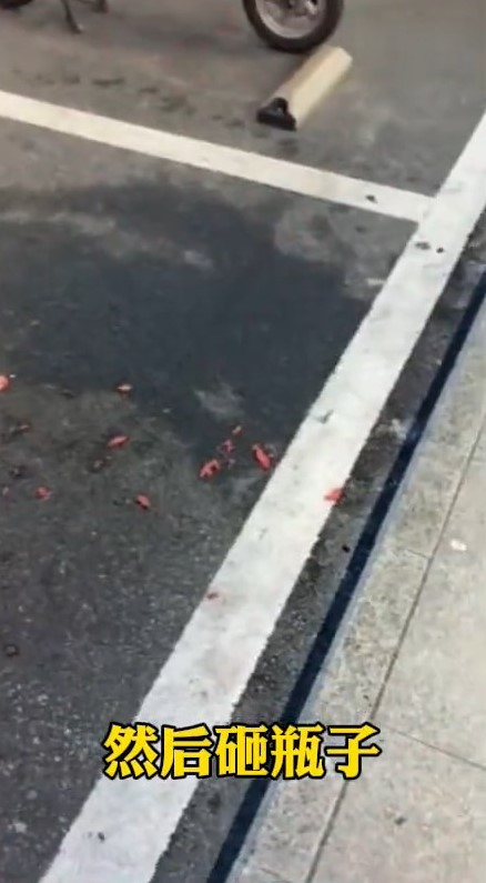 女食客將西瓜丟到街上。抖音@大風新聞 女食客將西瓜丟到街上。抖音@大風新聞