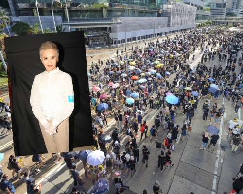 艺人叶德娴亦有参与游行。小图为资料图片