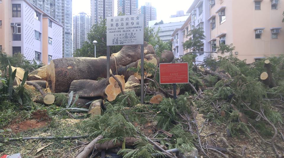 田進福的攝影專頁Edward Tin fb圖片