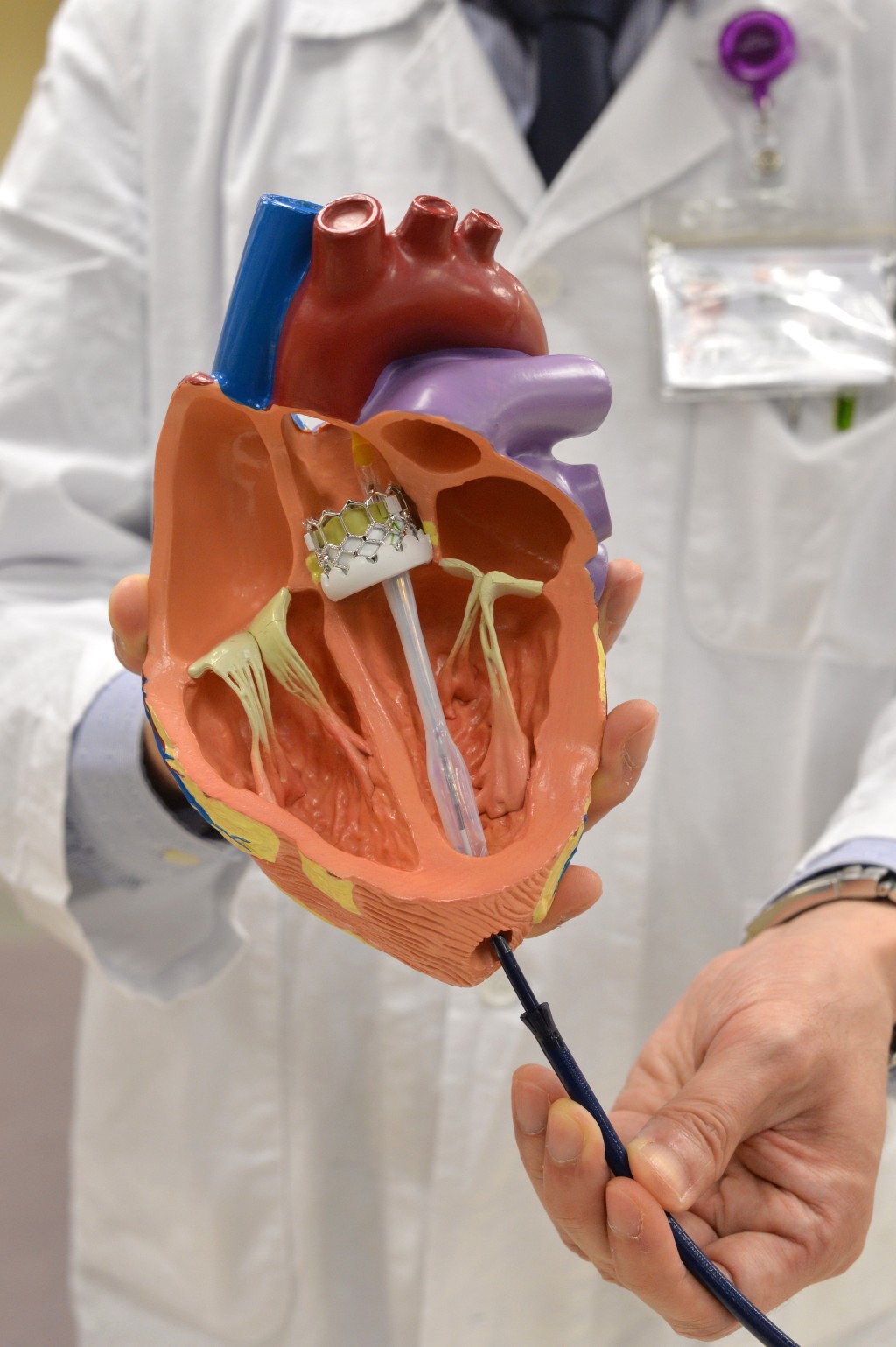 医生模拟主动脉心瓣手术。资料图片