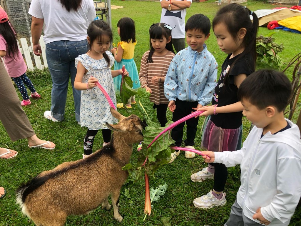 營車住客可親親小山羊。(圖片來源:《親子王》) 營車住客可親親小山羊。(圖片來源:《親子王》)
