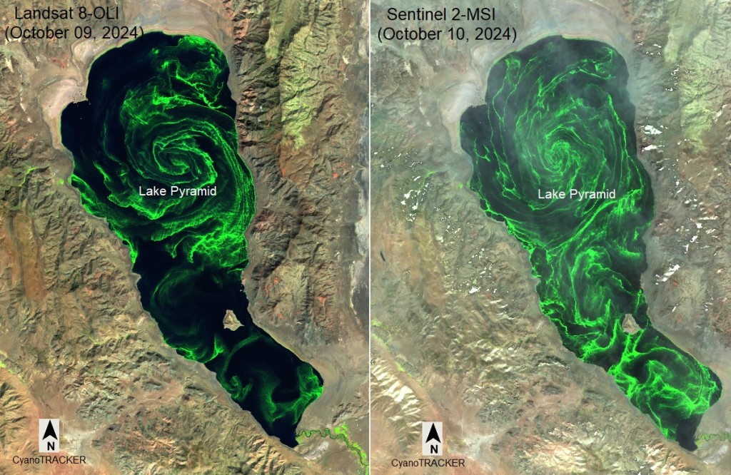 金字塔湖出现神秘绿色漩涡。（X@USGSLandsat）