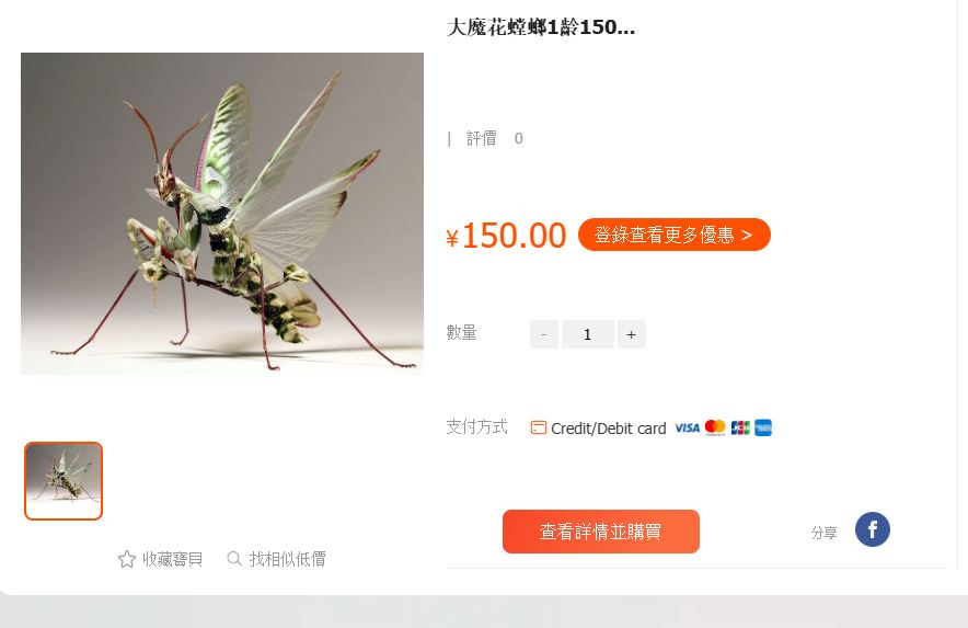 魔花螳螂百來元便可以買到。網圖