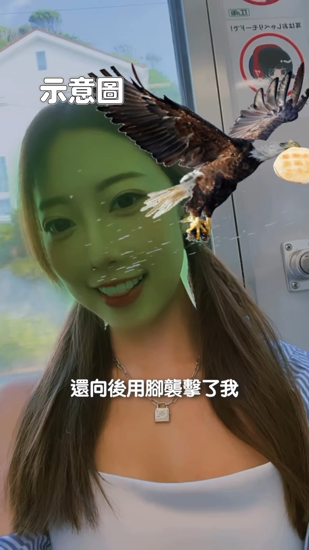 陳欣茵在片中講到她在鎌倉海邊欣賞日落美景及吃米餅時,突然有一隻鷹搶吃她手中的米餅,她還不幸地被其用利爪抓傷,臉上因而留下了兩道血痕。 陳欣茵在片中講到她在鎌倉海邊欣賞日落美景及吃米餅時,突然有一隻鷹搶吃她手中的米餅,她還不幸地被其用利爪抓傷,臉上因而留下了兩道血痕。