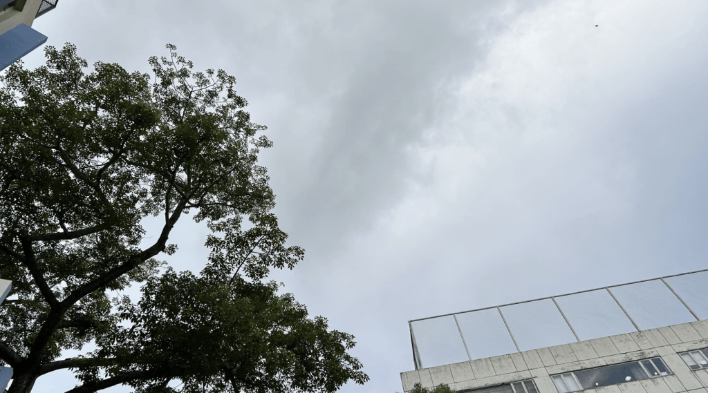 日間酷熱，市區最高氣溫約33度，新界再高一兩度。蔡楚輝攝