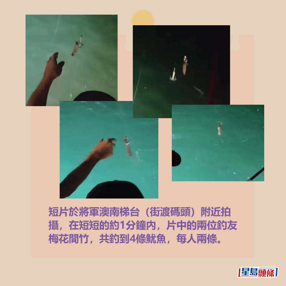 短片於將軍澳南梯台(街渡碼頭)附近拍 攝,在短短的約1分鐘內,片中的兩位釣友 梅花間竹,共釣到4條魷魚,每人兩條。fb「將軍澳主場」截圖 短片於將軍澳南梯台(街渡碼頭)附近拍 攝,在短短的約1分鐘內,片中的兩位釣友 梅花間竹,共釣到4條魷魚,每人兩條。fb「將軍澳主場」截圖