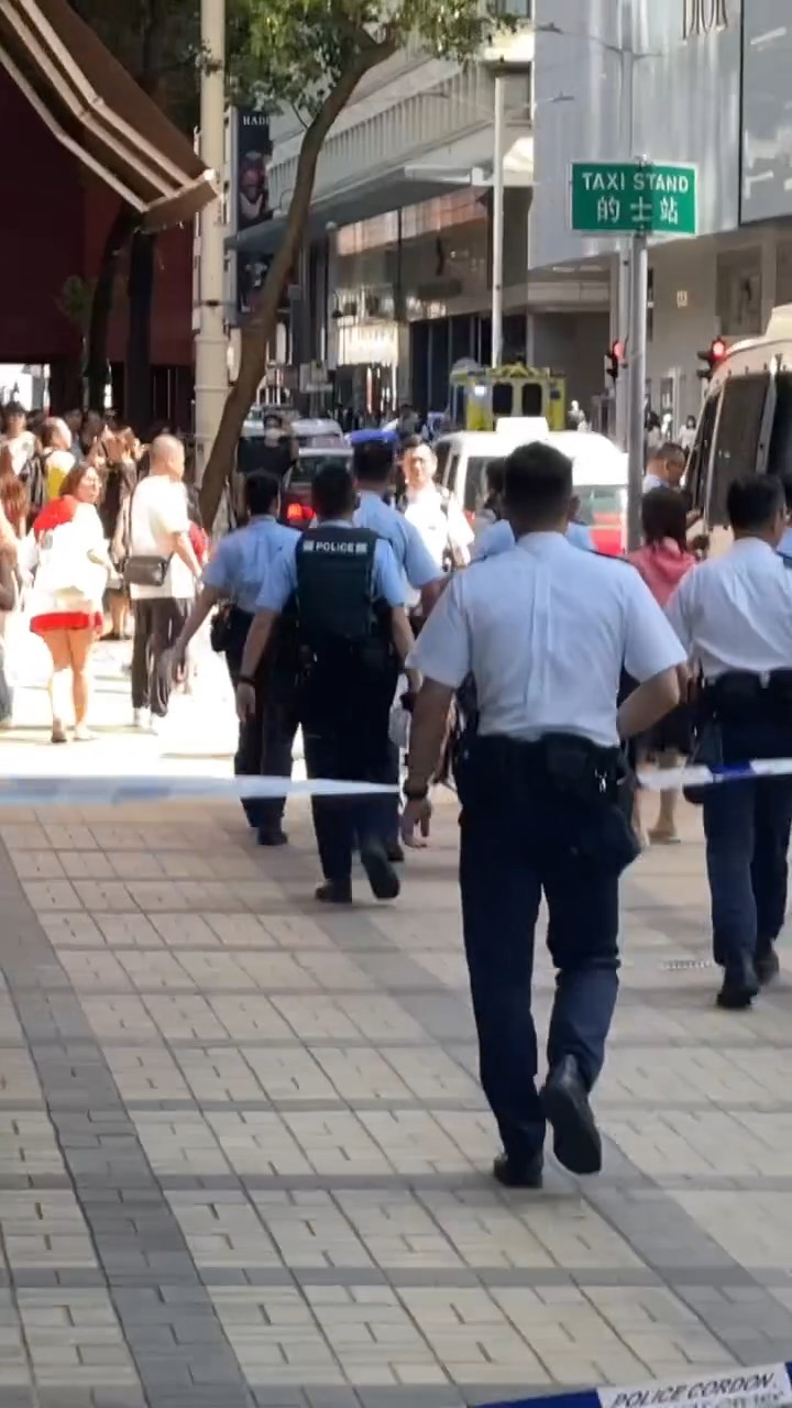 女子被警員押上警車。 女子被警員押上警車。