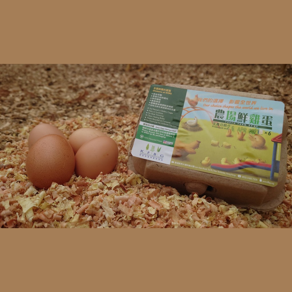 離園前記得到小賣店購買自家放養的雞隻所生的農場鮮雞蛋。（圖片來源：《親子王》）
