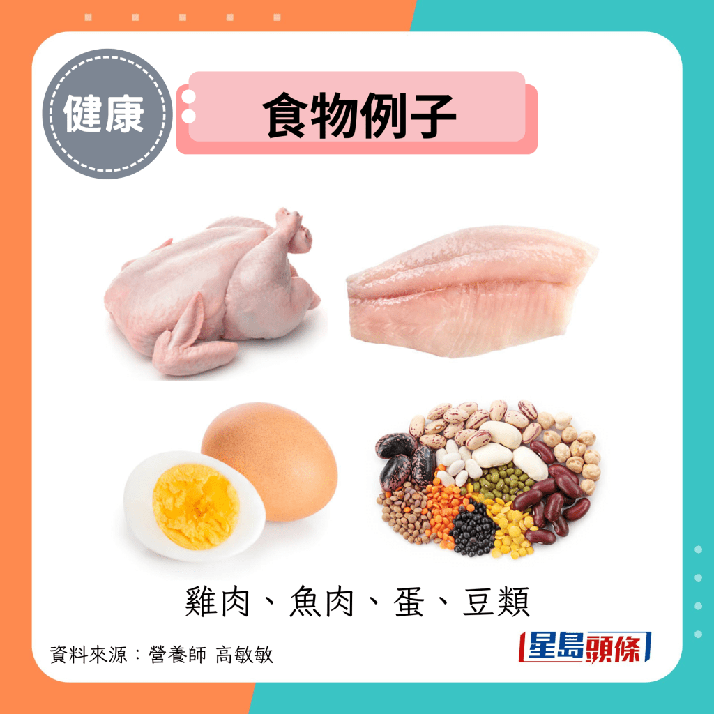 食物例子：雞肉、魚肉、蛋、豆類