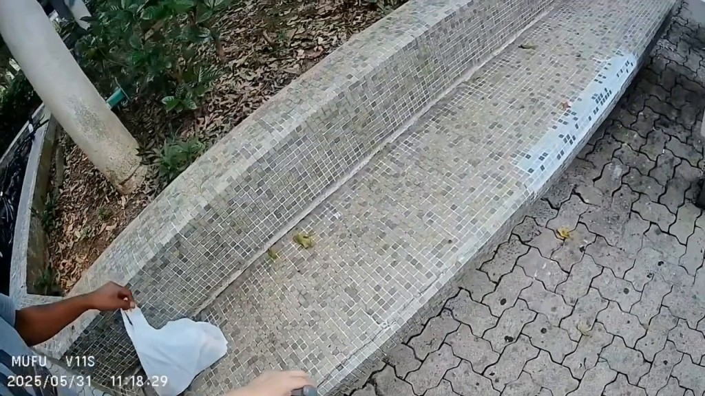 負責拍攝的鐵騎士:有無撞親邊度呀?坐低。 跌倒婦人:唉~fb「車cam L(香港群組)」截圖 負責拍攝的鐵騎士:有無撞親邊度呀?坐低。 跌倒婦人:唉~fb「車cam L(香港群組)」截圖