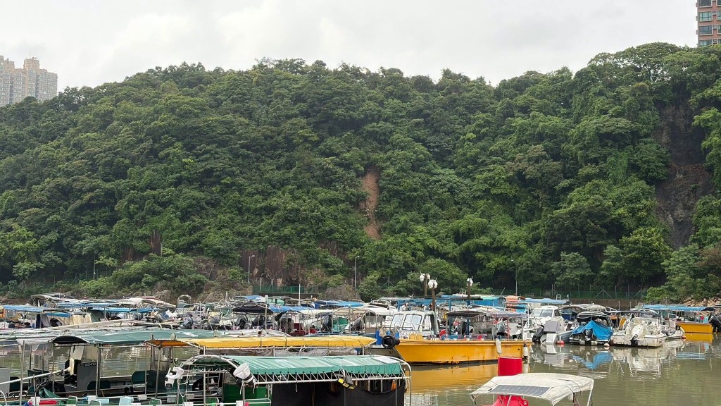 暴雨｜將軍澳避風塘對開山泥傾瀉 灣畔徑一段暫時封閉