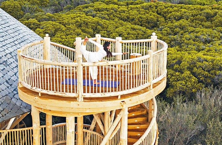 客人可登臨樹頂平台作瑜伽或冥想等活動。